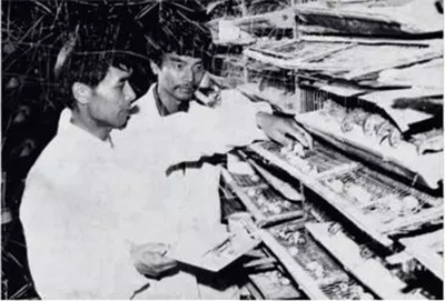 两高和司法部同时发布涉产权典型案例：铁腕保护财富安全感