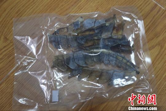 合肥邮检口岸截获一批来自泰国的鳄鱼肉干