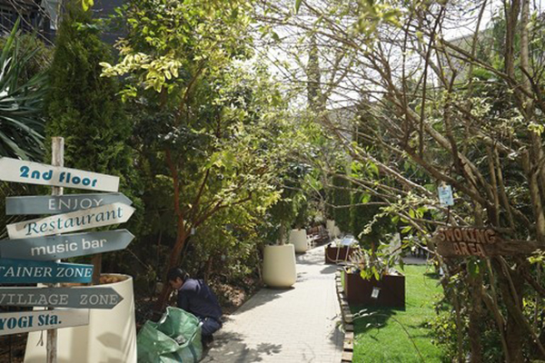 迷失在早春东京的植物之海