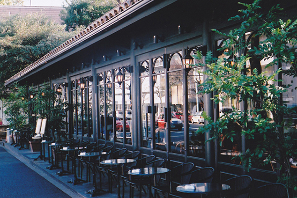 迷失在早春东京的植物之海