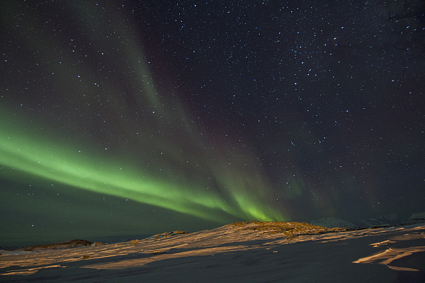 观世界| 经历一次南极雪景的洗礼
