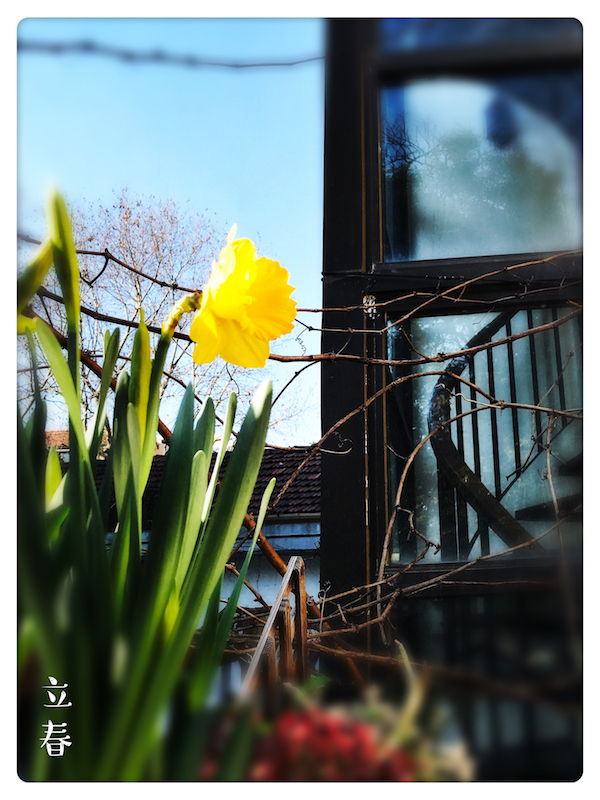 视频｜立春：春风春气春饼 ，品物皆春