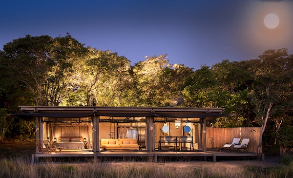 在赞比亚，有一片鲜为人知的草原是动物天堂