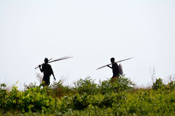 在赞比亚，有一片鲜为人知的草原是动物天堂