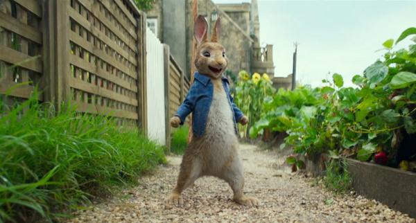 拿过敏症开玩笑，“比得兔”惹上大麻烦了