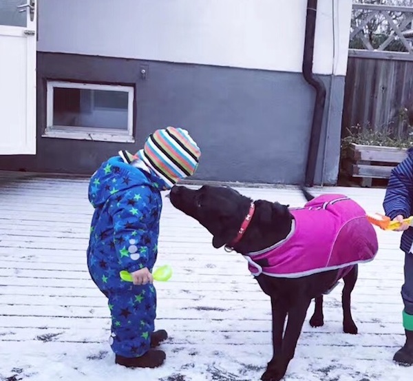 情人节|七年之痒，让爱拯救鸡毛一地的两娃生活