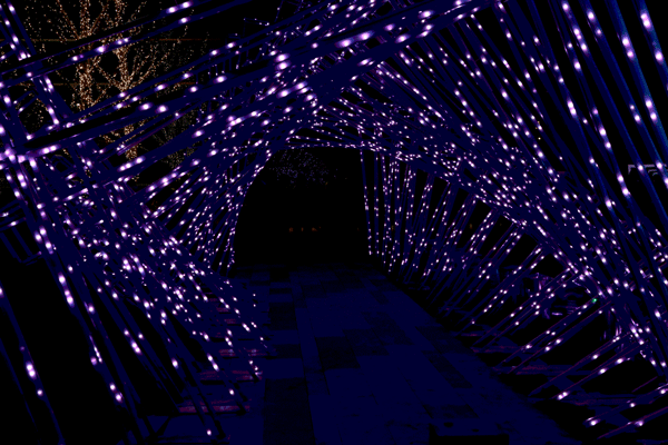 上海万象城：艺术、科技和全新定位一个都不能少