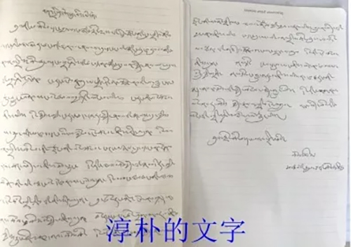 当脊柱侧凸合并Chiari畸形，少年如何恢复“直立行走”