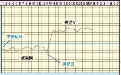 问答｜备孕避孕居家必备小知识：什么是排卵期和安全期？