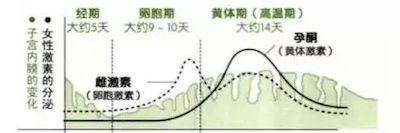 问答｜备孕避孕居家必备小知识：什么是排卵期和安全期？