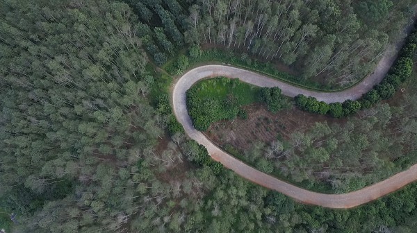 景迈山上的“年”