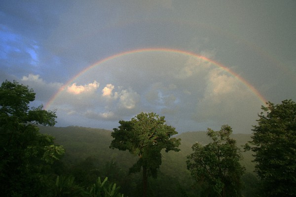 景迈山上的“年”