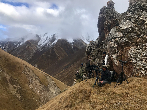 我在三江源，一天之内看见7只野生雪豹