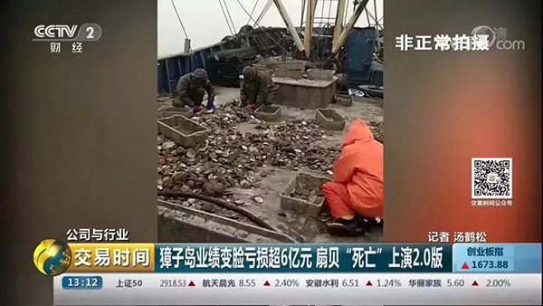 央视起底獐子岛：扇贝死了，到底是天灾，还是命案？