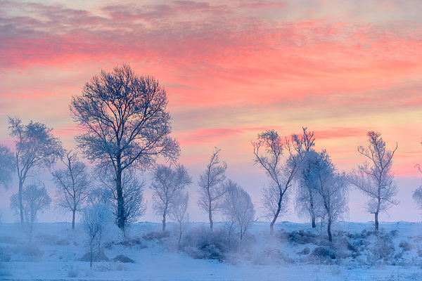 澎湃寒假征稿选登|寒假你是去哪儿过年的