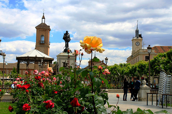 在西班牙寻找塞万提斯