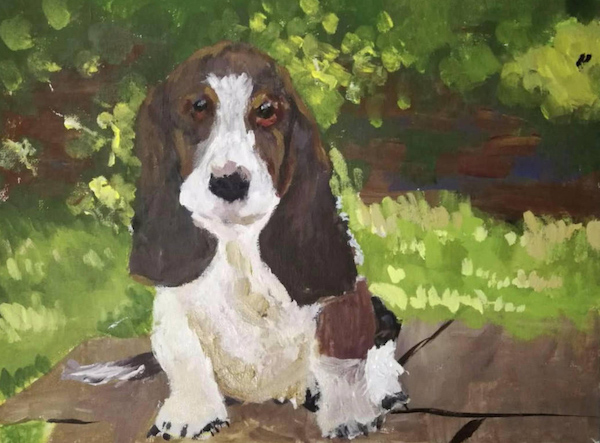 澎湃寒假征稿选登|新春新气象