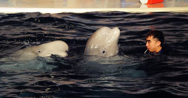 上海这几个去处或能帮助孩子释放开学焦虑症