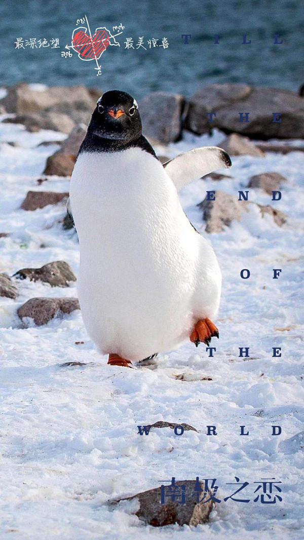 问吧精选｜三赴南极，一赴北极，导演吴有音的这部片你打几分