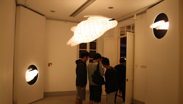 元宵佳节|你见过和没见过的各种兔子灯