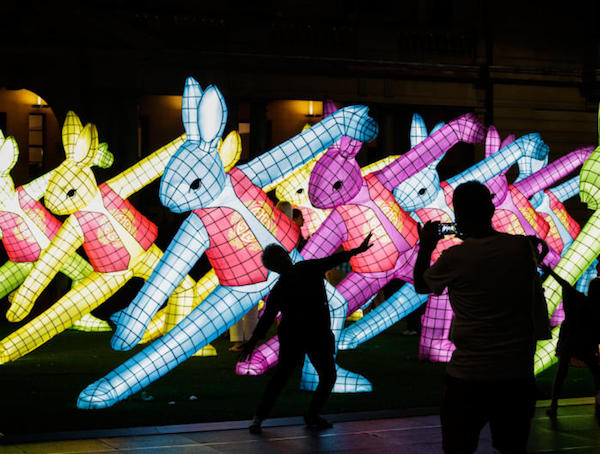 元宵佳节|你见过和没见过的各种兔子灯