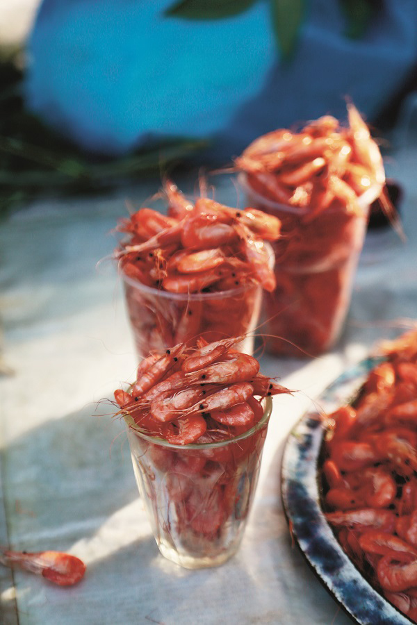 斯拉夫四重奏：从基辅到敖德萨，走入神秘的乌克兰