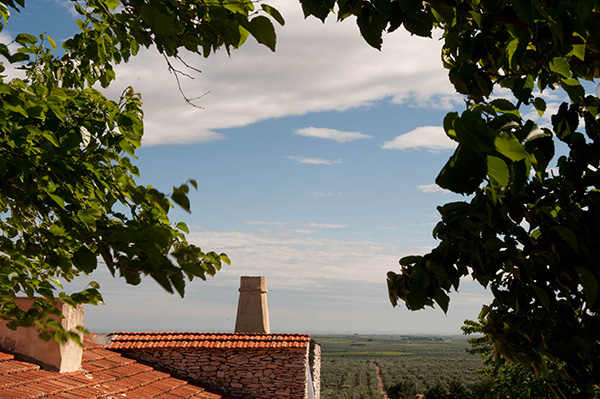 猫耳朵、小青瓜与特卢里，在意大利南部吃，吃，吃