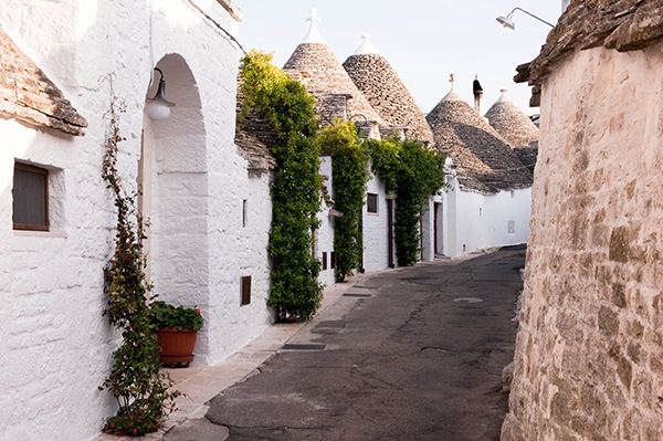 猫耳朵、小青瓜与特卢里，在意大利南部吃，吃，吃