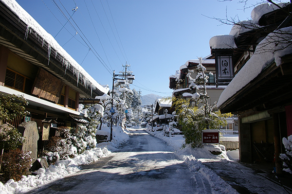 土豪去崇礼，穷人来长野：志贺高原滑雪记