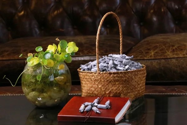 坐标贵州威宁，一位女诗人的乡村建设实验