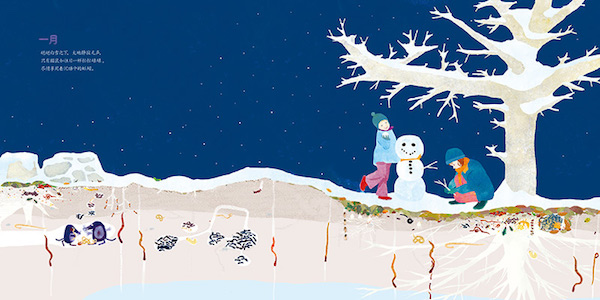 好书推荐|在“惊蛰”节气里讲土壤中的生命故事