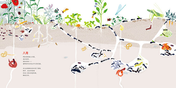 好书推荐|在“惊蛰”节气里讲土壤中的生命故事