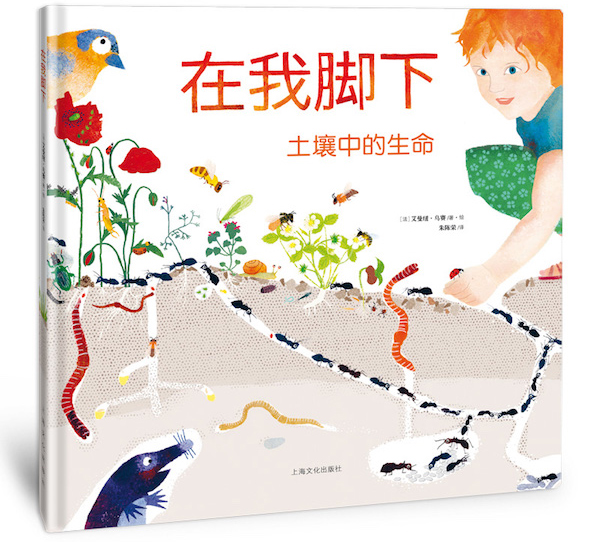 好书推荐|在“惊蛰”节气里讲土壤中的生命故事