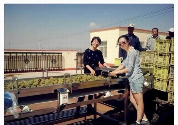 她们的酿酒故事