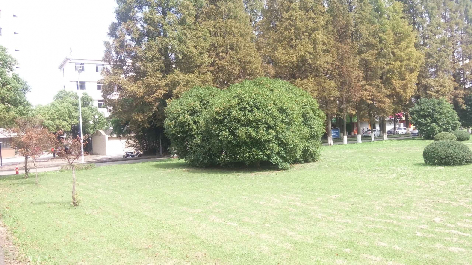 P61006-122000 - 副本.jpg