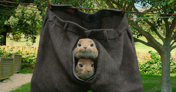 这只全世界最有名的兔兔不卖萌，只耍狠