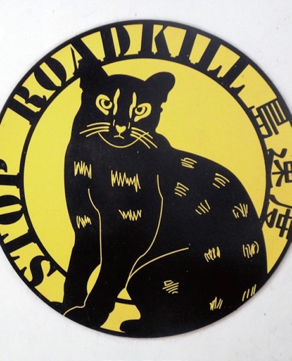 琉球群岛，不同世界的交叉口