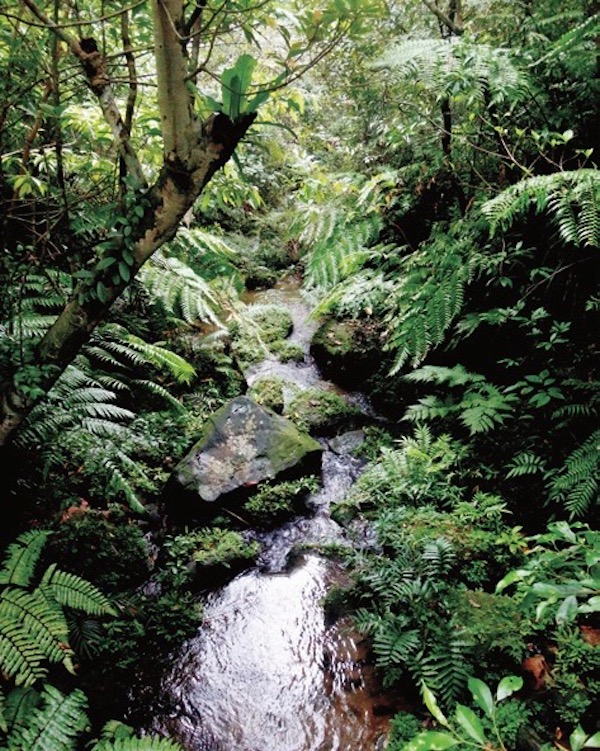琉球群岛，不同世界的交叉口