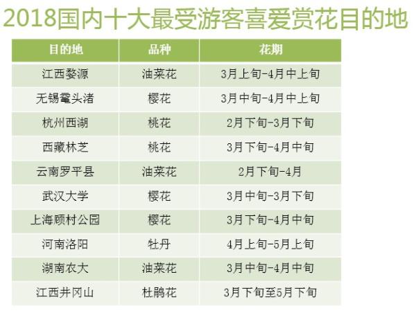 今年赴日赏樱中国游客将达60万人，预计消费80亿元人民币
