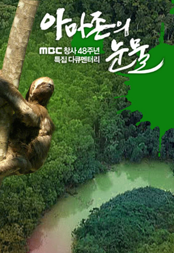 植树节，让我们来谈谈植物界纪录片