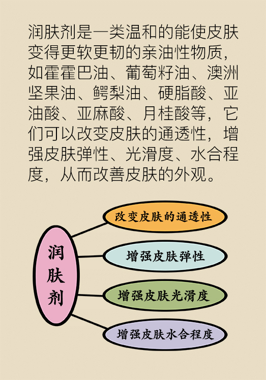 漫画｜每个女生都可以拥有Q弹肌肤，只是不知道这些知识