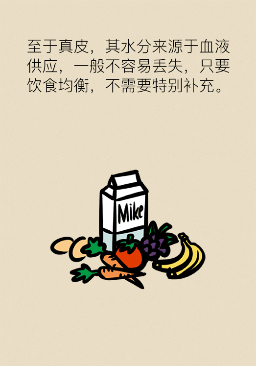 漫画｜每个女生都可以拥有Q弹肌肤，只是不知道这些知识