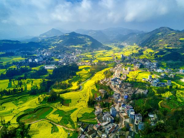 又到了赏花季节，这些地方的油菜花有看头