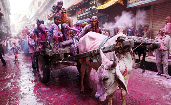 身披七彩，在胡里节的狂欢人潮中