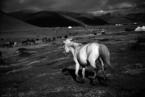 特写 | 时轮金刚气力里，我和我的理塘家人