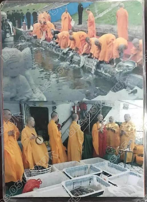 640 (1).webp (5).jpg