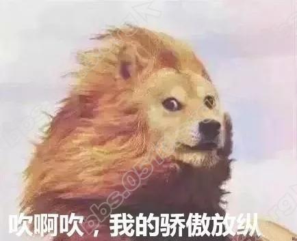 640 (1).webp (3).jpg