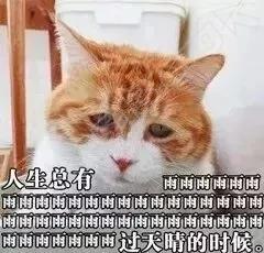 640 (1).webp (7).jpg