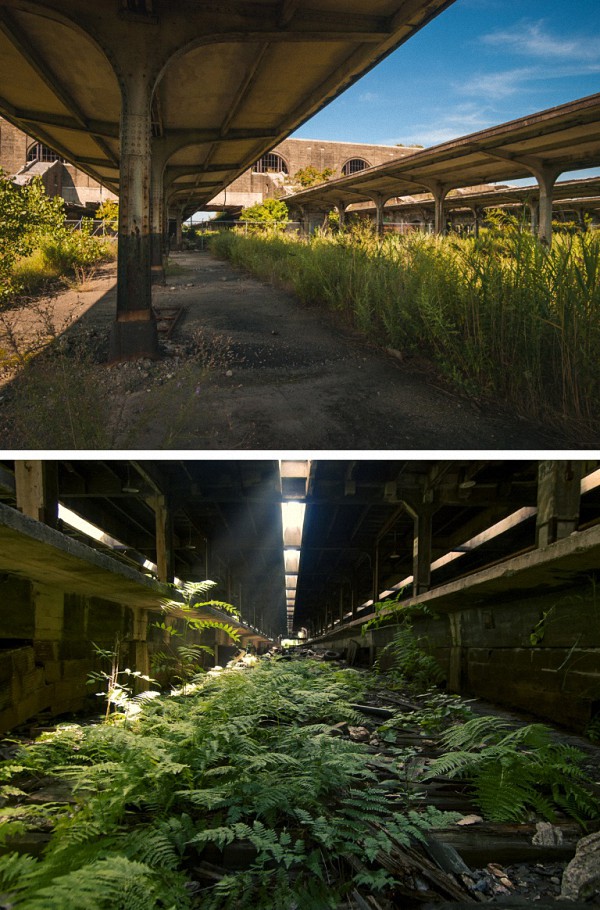 用影像记录荒芜：废墟猎人说，每个死去的建筑都是一座乐园