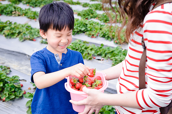 有了这份攻略，正式开启“莓”好生活